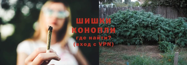 твердый Горняк